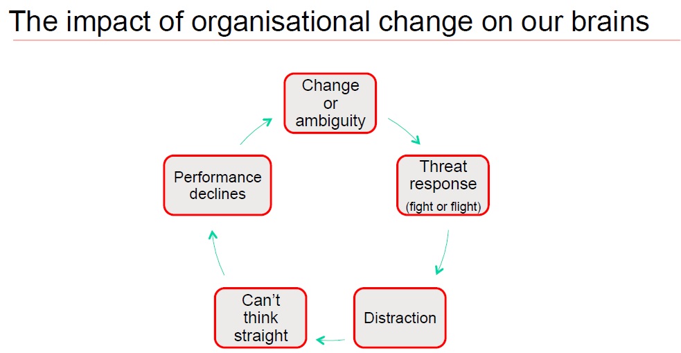 Organizational change impact on our brains