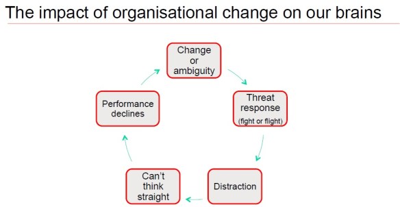 Organizational change impact on our brains